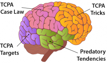 An illustration of human brain with the different sections labeled with terms relevant to TCPA compliance