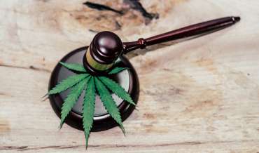 A gavel and a marijuana leaf