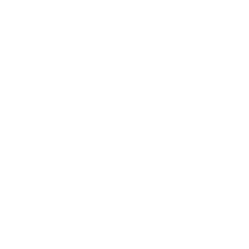 botsplash_logo_white_transparent
