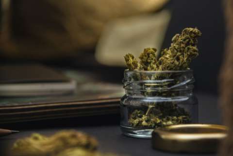 marijuana buds in a glass jar at a cannabis dispensary