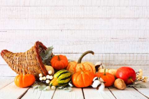 A cornucopia with gourds and fruit spilling out