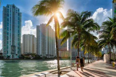 Two people walk under palm trees alongside a narrow waterway in Miami, high rises are visible on the other side of the water