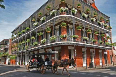 A horse-drawn carriage travels in front of a three story building in the French Quarter of New Orleans. The balconies of the building are festooned with potted plants.