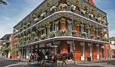 A horse-drawn carriage travels in front of a three story building in the French Quarter of New Orleans. The balconies of the building are festooned with potted plants.
